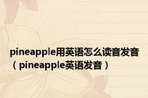 pineapple用英语怎么读音发音（pineapple英语发音）