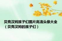 贝克汉姆孩子们图片高清头像大全（贝克汉姆的孩子们）