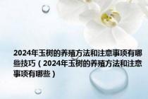 2024年玉树的养殖方法和注意事项有哪些技巧（2024年玉树的养殖方法和注意事项有哪些）