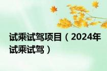 试乘试驾项目（2024年试乘试驾）