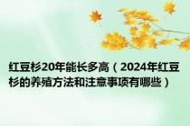 红豆杉20年能长多高（2024年红豆杉的养殖方法和注意事项有哪些）