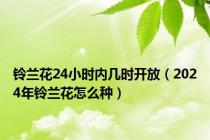 铃兰花24小时内几时开放（2024年铃兰花怎么种）