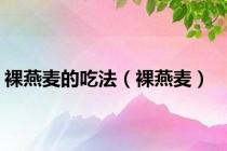 裸燕麦的吃法（裸燕麦）