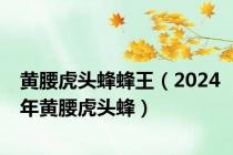 黄腰虎头蜂蜂王（2024年黄腰虎头蜂）