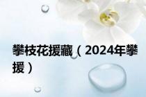 攀枝花援藏（2024年攀援）