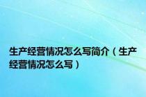 生产经营情况怎么写简介（生产经营情况怎么写）