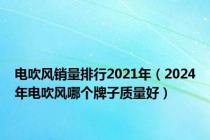 电吹风销量排行2021年（2024年电吹风哪个牌子质量好）