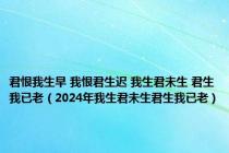 君恨我生早 我恨君生迟 我生君未生 君生我已老（2024年我生君未生君生我已老）