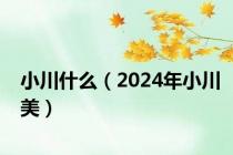 小川什么（2024年小川美）