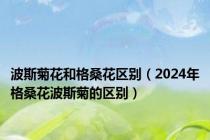 波斯菊花和格桑花区别（2024年格桑花波斯菊的区别）