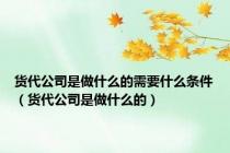 货代公司是做什么的需要什么条件（货代公司是做什么的）