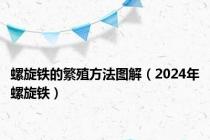 螺旋铁的繁殖方法图解（2024年螺旋铁）