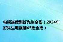 电视连续剧好先生全集（2024年好先生电视剧45集全集）