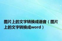 图片上的文字转换成语音（图片上的文字转换成word）