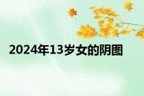 2024年13岁女的阴图