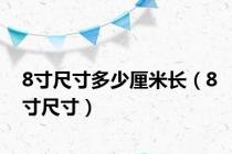 8寸尺寸多少厘米长（8寸尺寸）