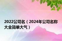 2022公司名（2024年公司名称大全简单大气）