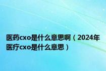 医药cxo是什么意思啊（2024年医疗cxo是什么意思）