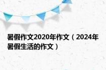 暑假作文2020年作文（2024年暑假生活的作文）