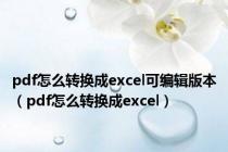 pdf怎么转换成excel可编辑版本（pdf怎么转换成excel）