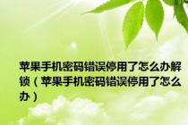 苹果手机密码错误停用了怎么办解锁（苹果手机密码错误停用了怎么办）