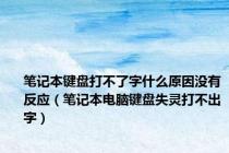 笔记本键盘打不了字什么原因没有反应（笔记本电脑键盘失灵打不出字）