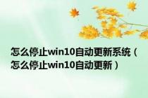 怎么停止win10自动更新系统（怎么停止win10自动更新）