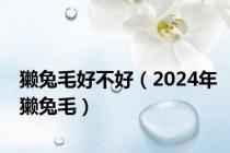 獭兔毛好不好（2024年獭兔毛）