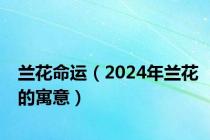 兰花命运（2024年兰花的寓意）