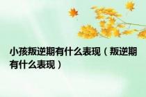 小孩叛逆期有什么表现（叛逆期有什么表现）