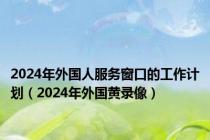 2024年外国人服务窗口的工作计划（2024年外国黄录像）