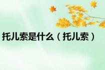 托儿索是什么（托儿索）