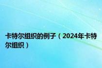 卡特尔组织的例子（2024年卡特尔组织）