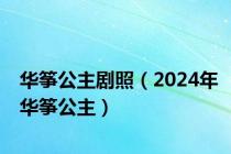 华筝公主剧照（2024年华筝公主）