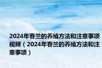 2024年春兰的养殖方法和注意事项视频（2024年春兰的养殖方法和注意事项）