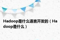 Hadoop是什么语言开发的（Hadoop是什么）