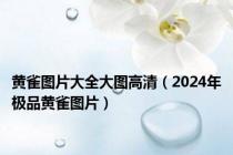 黄雀图片大全大图高清（2024年极品黄雀图片）