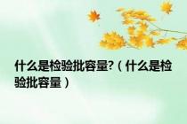 什么是检验批容量?（什么是检验批容量）