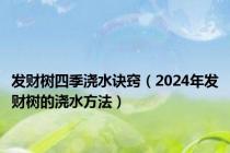 发财树四季浇水诀窍（2024年发财树的浇水方法）