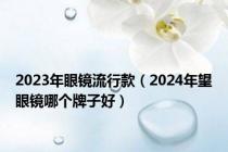 2023年眼镜流行款（2024年望眼镜哪个牌子好）