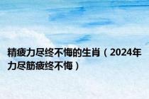 精疲力尽终不悔的生肖（2024年力尽筋疲终不悔）