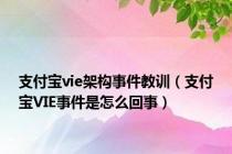 支付宝vie架构事件教训（支付宝VIE事件是怎么回事）