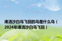 渚清沙白鸟飞回的鸟是什么鸟（2024年渚清沙白鸟飞回）