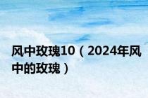 风中玫瑰10（2024年风中的玫瑰）