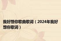 我好想你歌曲歌词（2024年我好想你歌词）