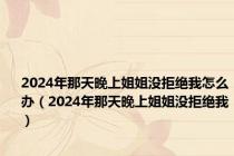 2024年那天晚上姐姐没拒绝我怎么办（2024年那天晚上姐姐没拒绝我）