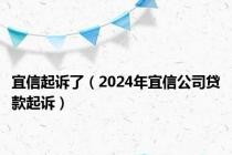 宜信起诉了（2024年宜信公司贷款起诉）