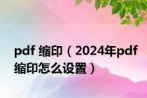 pdf 缩印（2024年pdf缩印怎么设置）