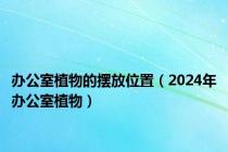 办公室植物的摆放位置（2024年办公室植物）