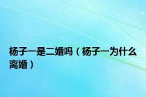 杨子一是二婚吗（杨子一为什么离婚）